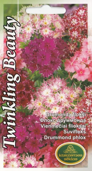 Drumonda flokši Twinkling Beauty