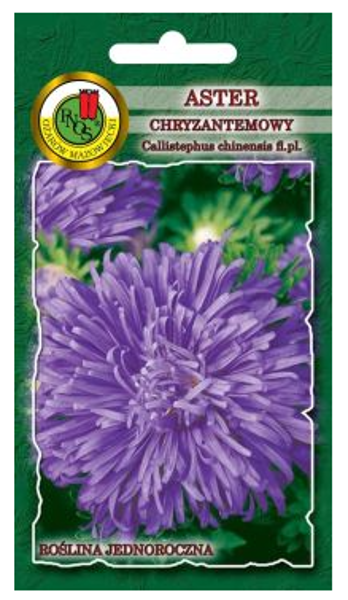 Asteres krizantēmu Zilas 0.8g