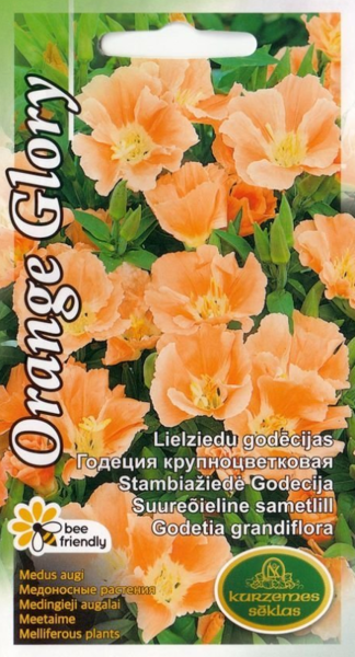 Godēcija Orange Glory