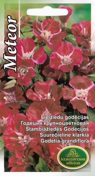 Godēcijas Meteor