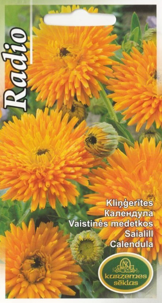 Kliņģerītes Radio