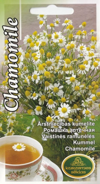 Ārstniecības kumelīte