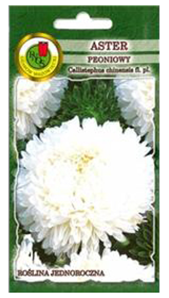 Asteres peoniju baltas 0,8g