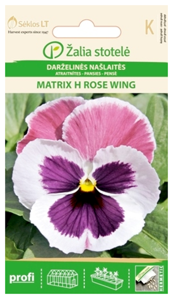 Atraitnītes MATRIX H ROSE WING