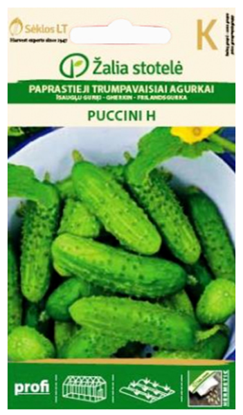 Gurķi PUCCINI H 0.5g