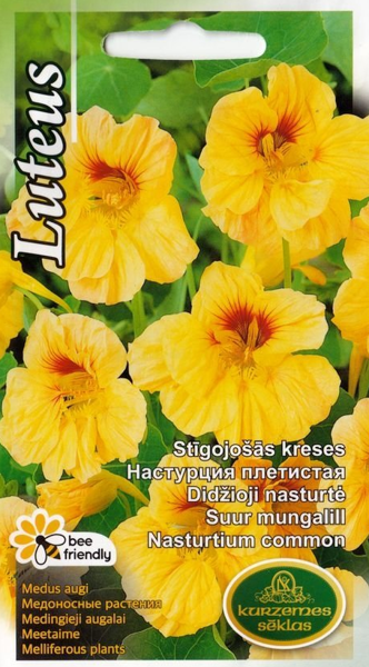 Kreses Luteus
