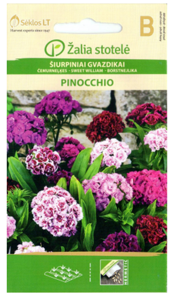 Čemurneļķes PINOCCIO
