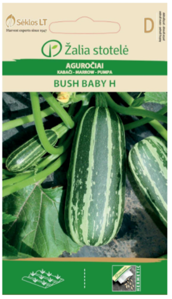 Kabači Bush Baby H 5s