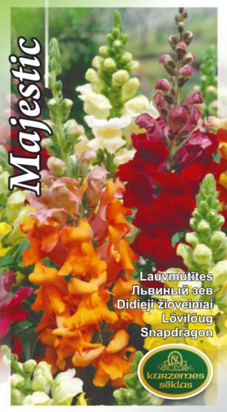 Lauvmutītes Majestic