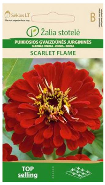 Cinijas Dāliju SCARLET FLAME 1g
