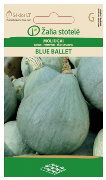 Ķirbji Blue Ballet 5s