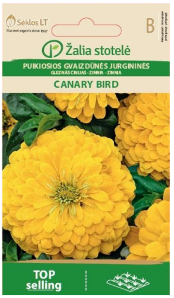 Cīnijas gleznās Canary Bird 1g