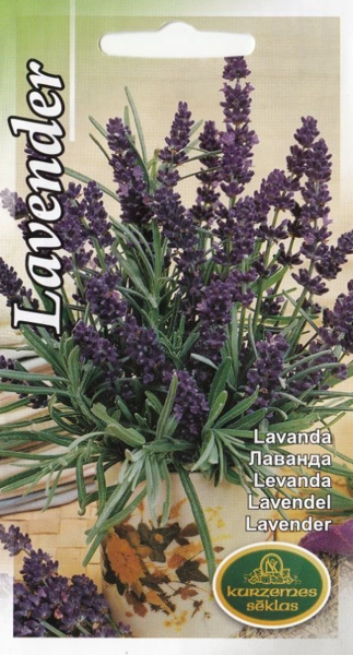 Šaurlapu lavanda