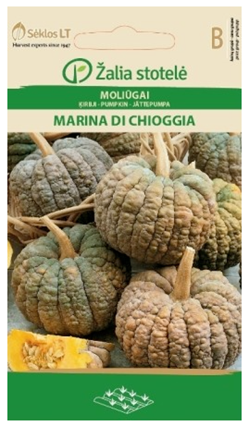 Ķirbji MARINA DI CHIOGGIA 1.5g