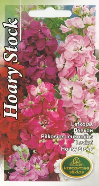 Lefkojas