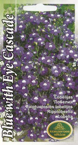 Lobēlijas Blue With Eye Cascade