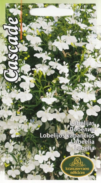 Lobēlijas Cascade baltas