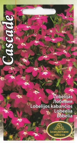 Lobēlijas Cascade sarkanas