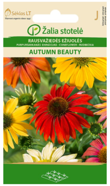 Ehinācijas AUTUMN BEAUTY 1g