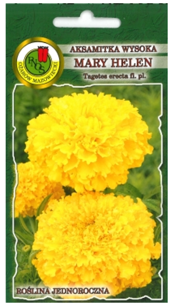 Samtenes augstās Mary Helen 1g