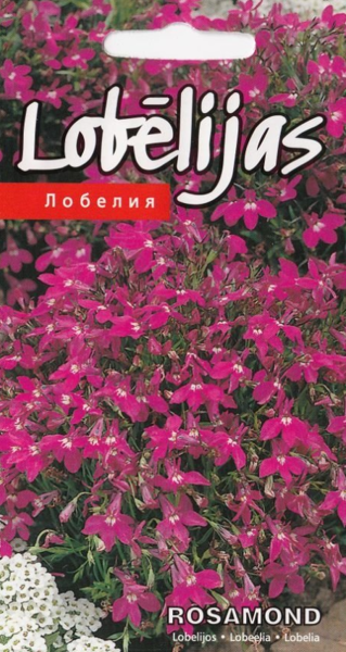 Lobēlijas Rosamond