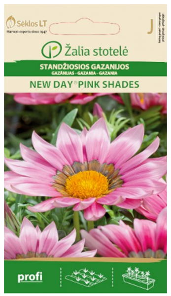 Gazānijas New day Pink Shades 15s