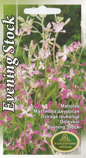 Matiolas