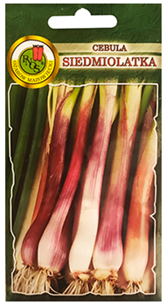 Sīpoli lielloku Red Toga 2g