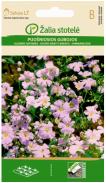 Ģipsenes SHOWY BABY'S BREATH 0.5g