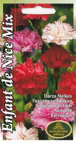 Neļķes Enfant de Nice Mix