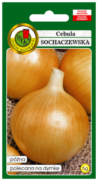 Sīpoli Sochaczewska 5g