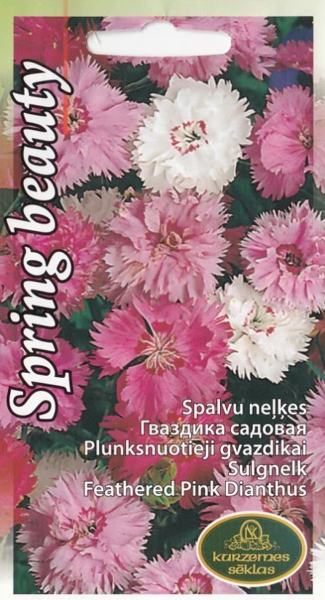 Neļķes Spring Beauty