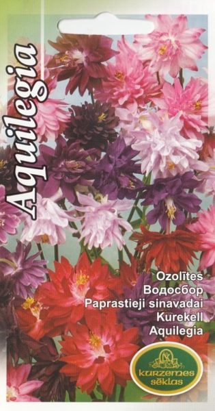Ozolītes pildītas