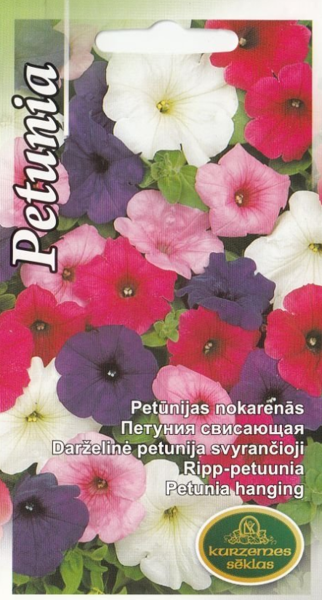 Petūnijas nokarenās
