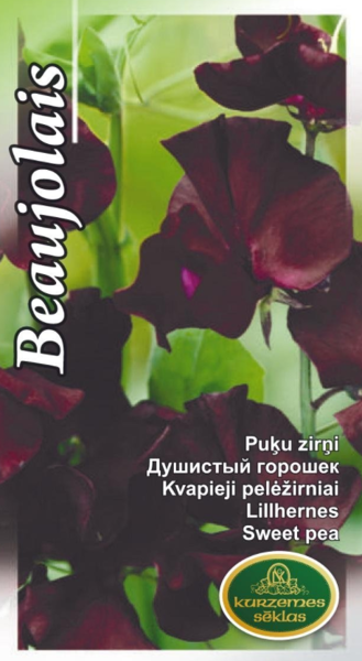 Puķu zirņi Beaujolais