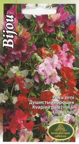 Puķu zirņi Bijou