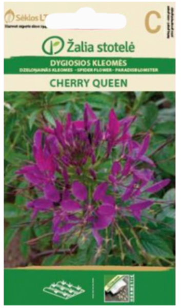 Kleomes CHERRY QUEEN 0.4g