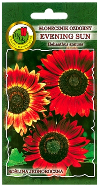 Saulespuķes vasaras EVENING SUN 2g