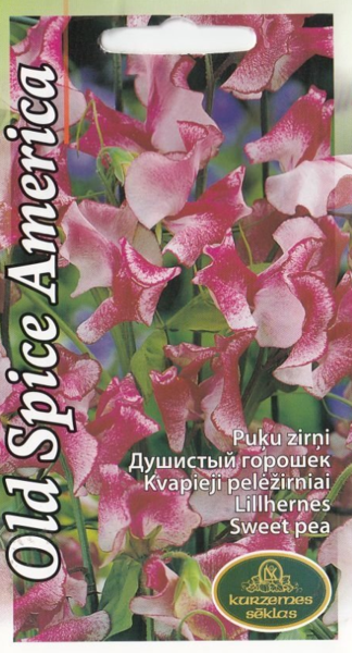 Puķu zirņi Old Spice America