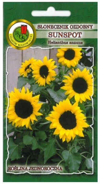 Saulespuķes zemās Sunspot 1g