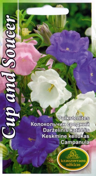 Pulkstenītes Cup and Soucer