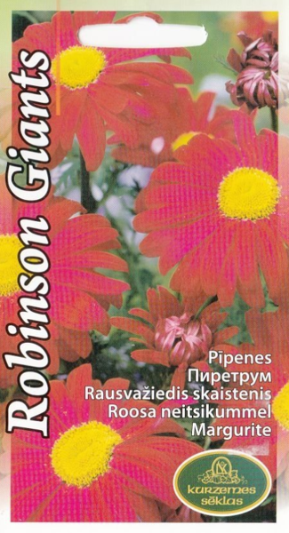Pīpenes Robinson Giants