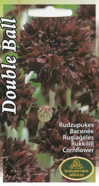 Rudzupuķes Double Ball Black