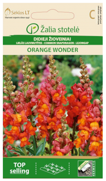 Lauvmutītes Orange Wonder 0.5g