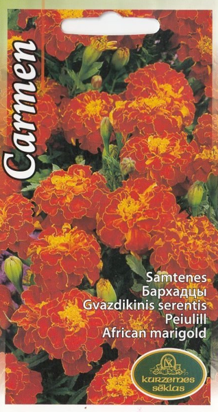 Samtenes Carmen