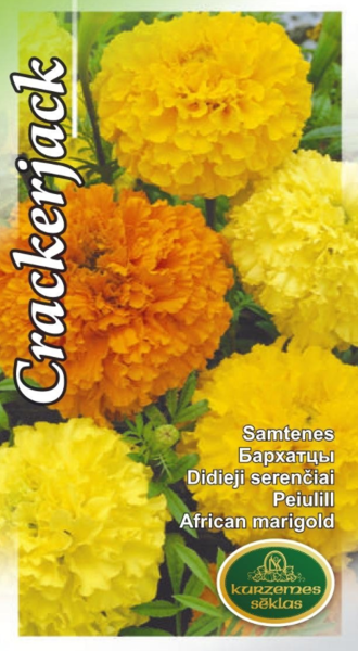 Samtenes Crackerjack