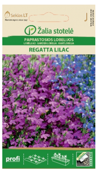 Lobēlijas REGATTA LILAC 40s