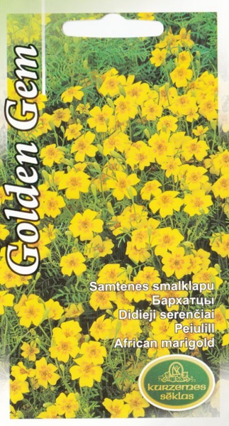 Samtenes Golden Gem
