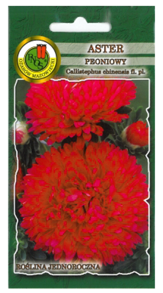 Asteres peoniju Sarkanas 0.8g