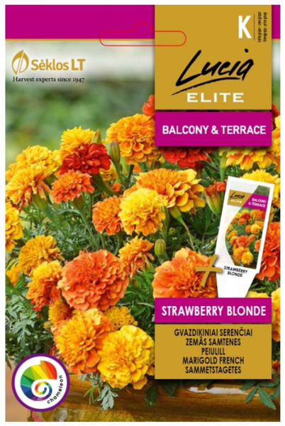 Samtenes zemās Strawberry Blonde 30s LE